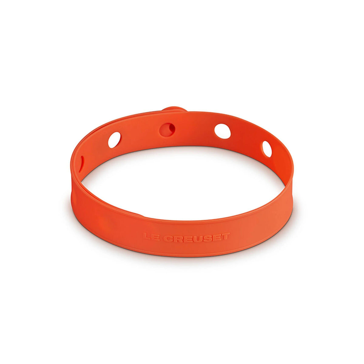 Silicone Travel Latch