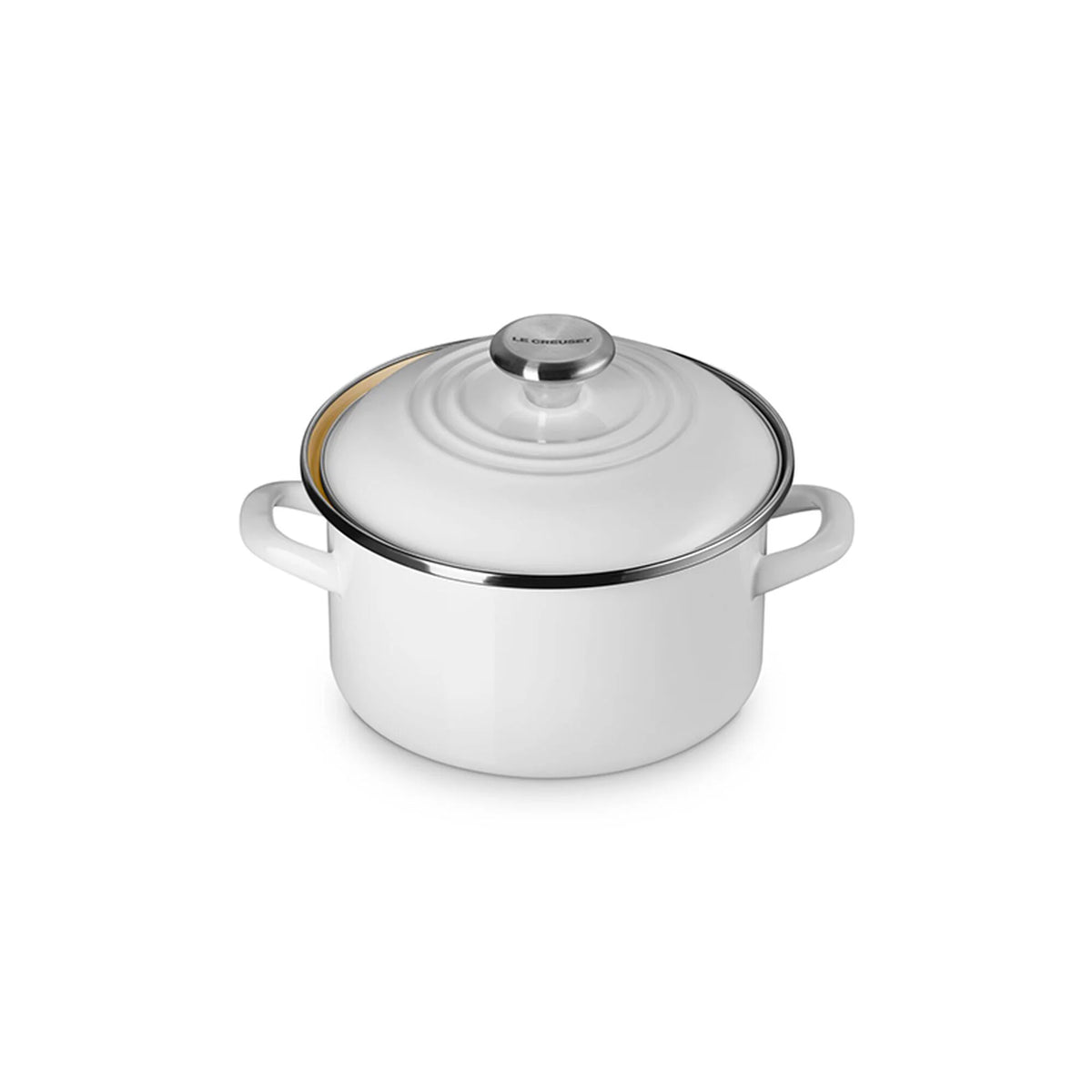 Traditional Petite Stockpot